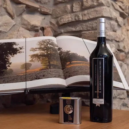 招待所 My 阿西西