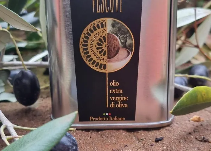 בית הארחה My